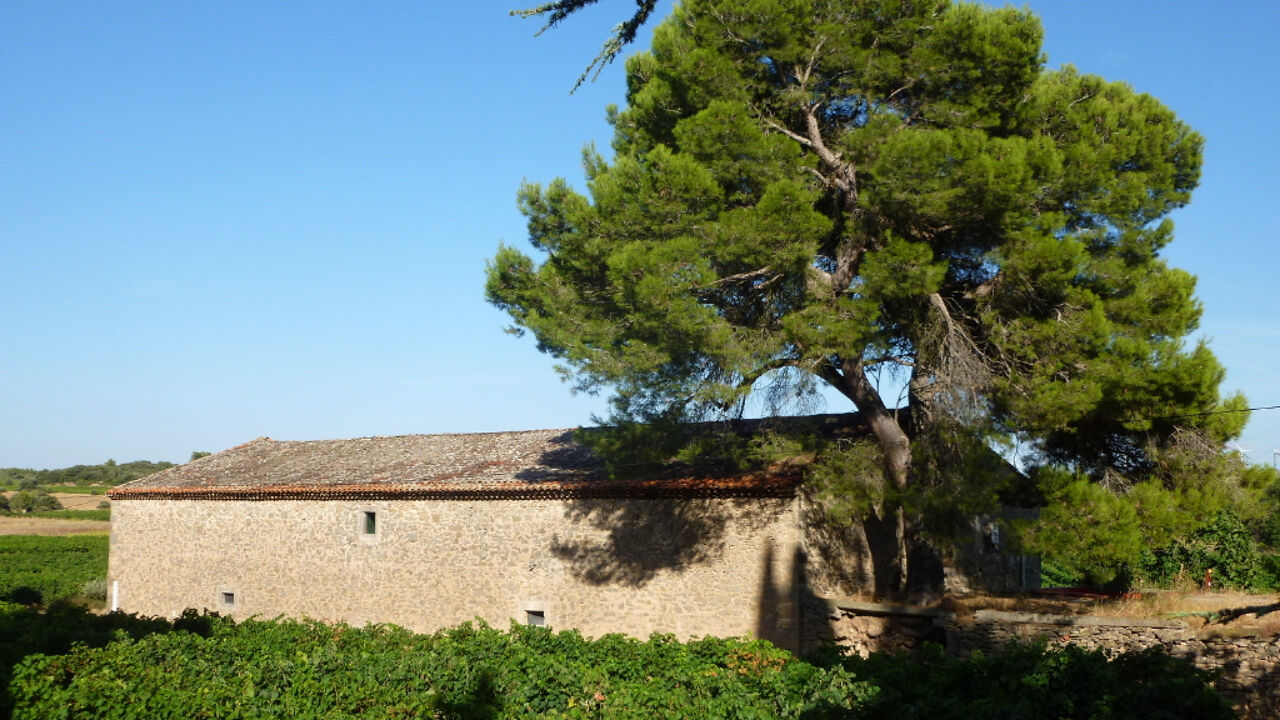 maison  pièces 450 m2 à vendre à Thézan-des-Corbières (11200)