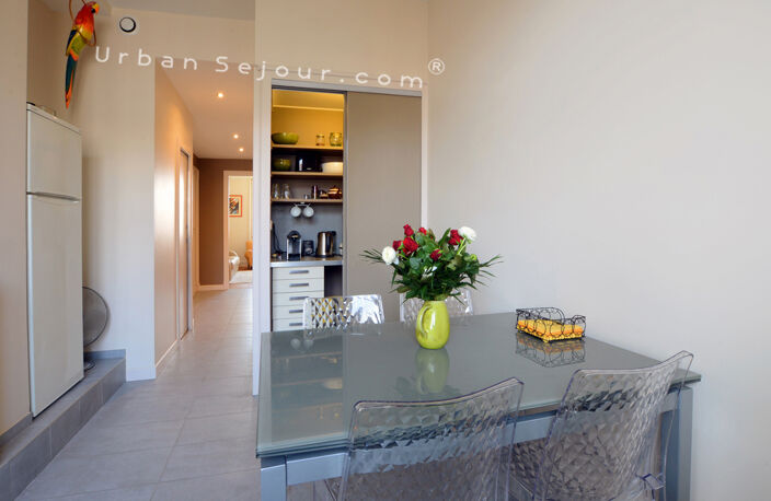 Logement de 55 m² - 1 CH - calme, lumineux - avec climatisation et parking - Lyon 7 — photo 4