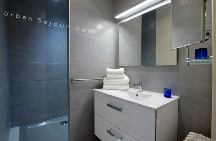 Logement de 55 m² - 1 CH - calme, lumineux - avec climatisation et parking - Lyon 7 — photo 5