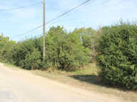 Terrain Venouse 1054 m2 — photo 3