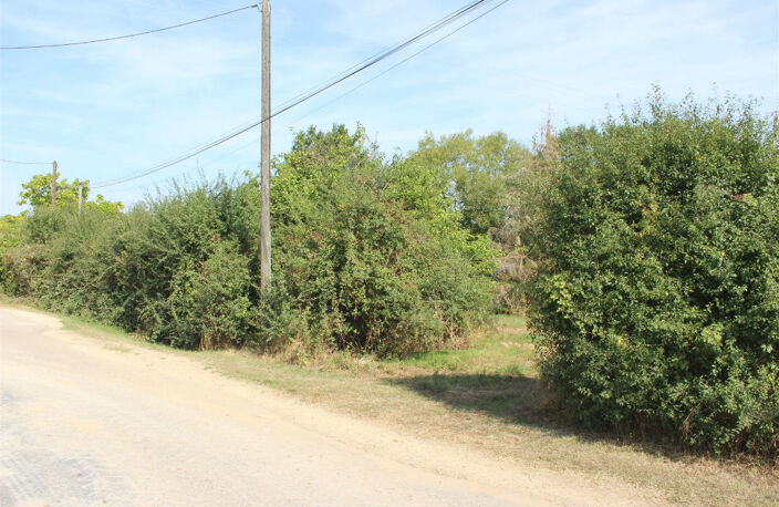 Terrain Venouse 1054 m2 — photo 3