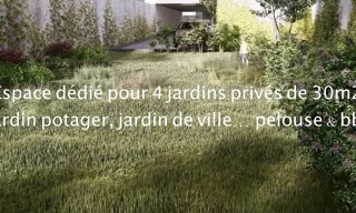 Photo N° 9