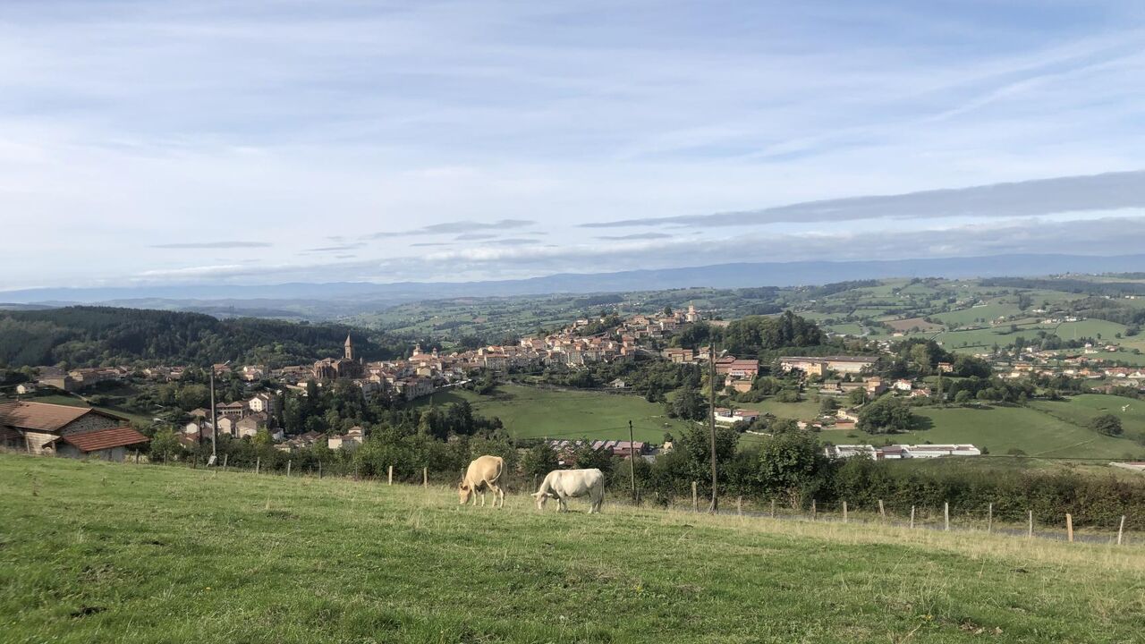 terrain  pièces 2168 m2 à vendre à Marnand (69240)