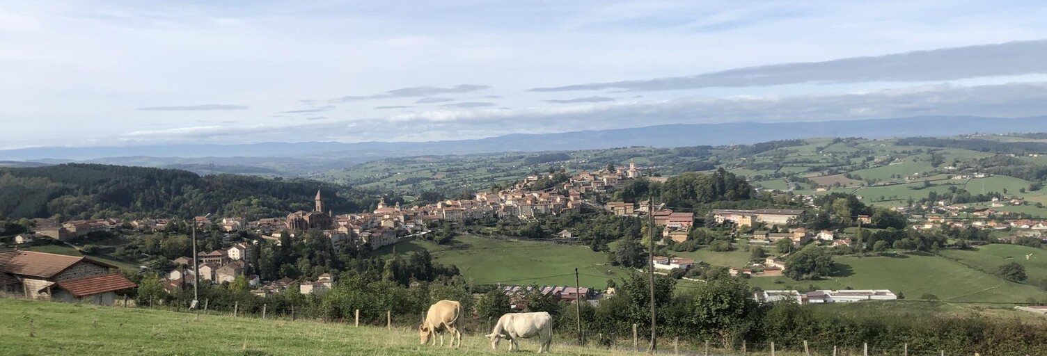 Terrain  2168 m² à vendre à Thizy-les-Bourgs (69240)