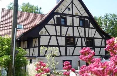 Réf: 11155*** Sect. Leymen, à 3 - 5 min Centre, Tram et Biel-Benken Schweiz: maison/vieux moulin 175 m² — photo du bien
