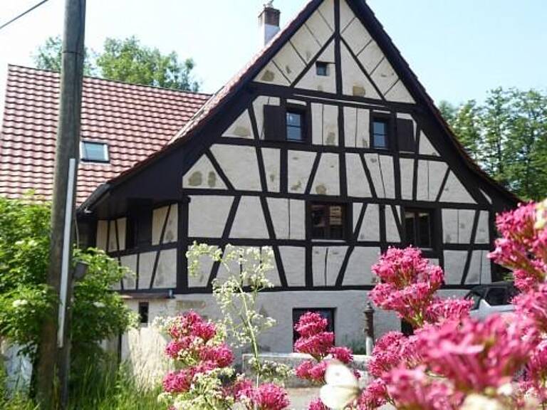 Réf: 11155*** Sect. Leymen, à 3 - 5 min Centre, Tram et Biel-Benken Schweiz: maison/vieux moulin 175 m² — photo 1