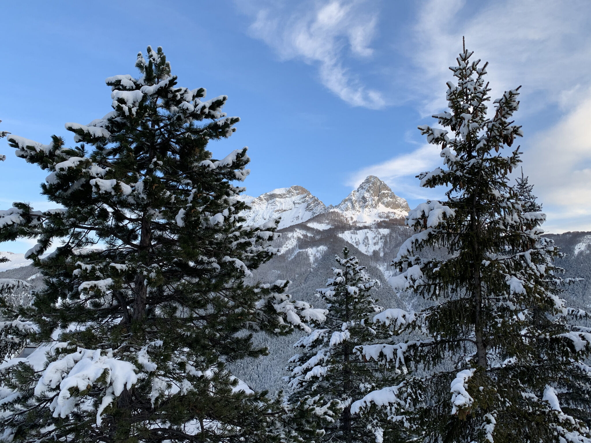 Terrain  à vendre Pra-Loup 04400