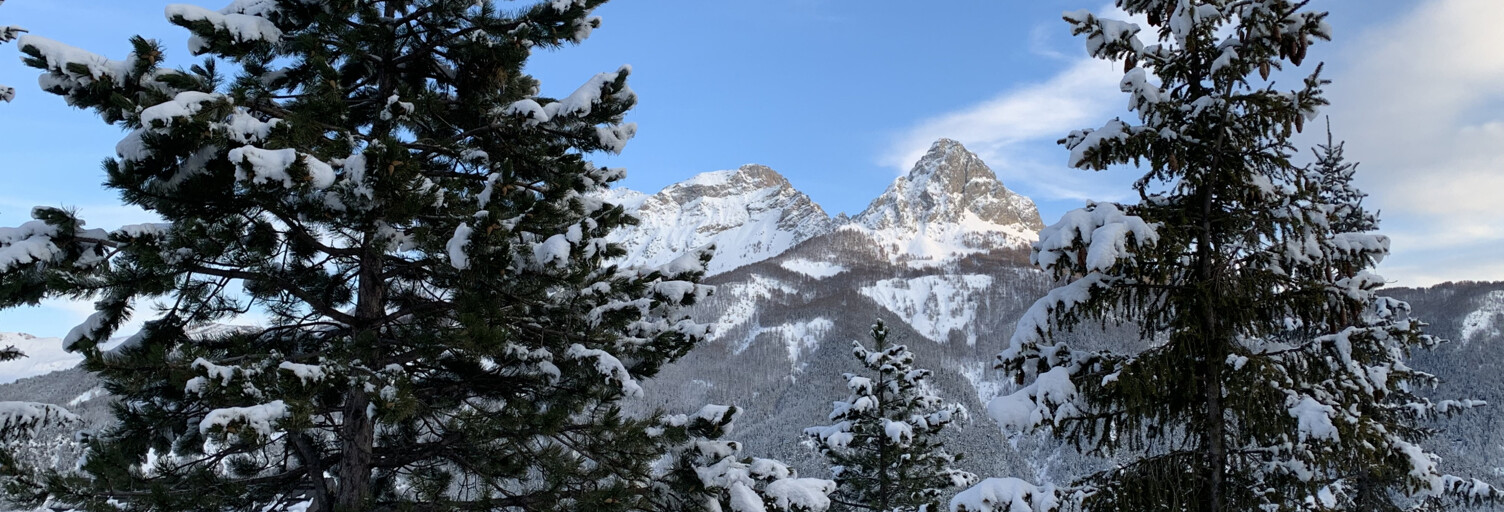 Terrain  448 m² à vendre à Barcelonnette (04400)