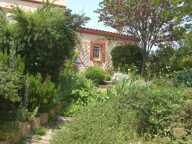Balma villa dans havre de verdure — photo 3