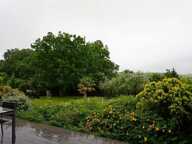 Balma villa dans havre de verdure — photo 4
