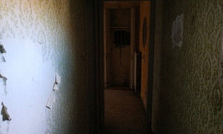 Photo N° 6