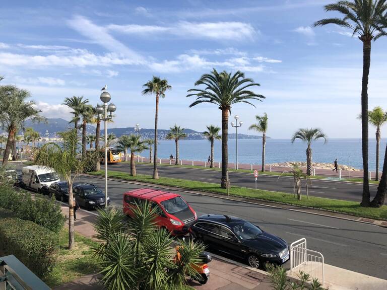 2 pièces Promenade                               // OFFRE ACCEPTEE // — photo 1