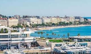 Commerce   m² à vendre à Cannes (06400)