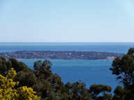 SUPER CANNES VILLA T5 200M2 VUE MER TERRAIN 2644M2 PISCINE — photo 2
