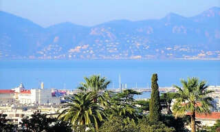 Maison 7 Pièces 255 m² à vendre à Cannes (06400)