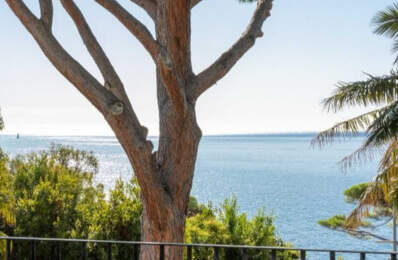 CANNES  BASSE CALIFORNIE VILLA T7 DE 270M2 VUE MER PISICINE — photo du bien