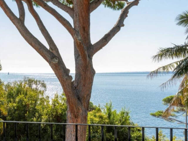 CANNES  BASSE CALIFORNIE VILLA T7 DE 270M2 VUE MER PISICINE — photo du bien