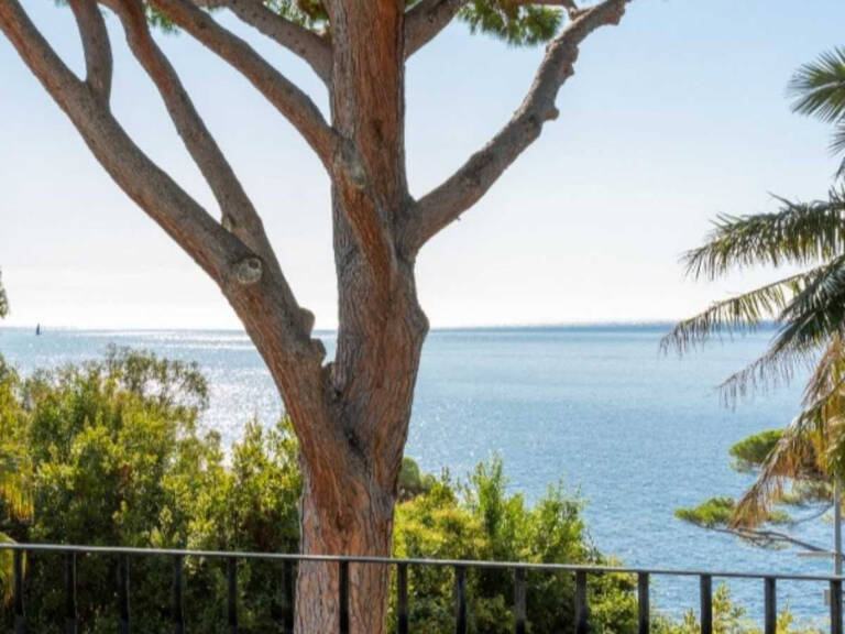 CANNES  BASSE CALIFORNIE VILLA T7 DE 270M2 VUE MER PISICINE — photo 1