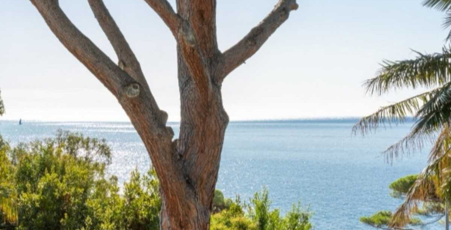 CANNES  BASSE CALIFORNIE VILLA T7 DE 270M2 VUE MER PISICINE — photo 1