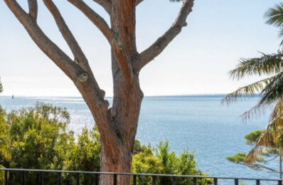 maison 7 pièces 222 m2 à vendre à Cannes (06400)