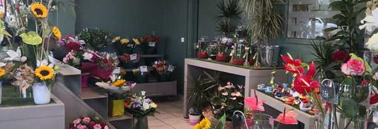 Commerce  220 m² à vendre à Concarneau (29900)