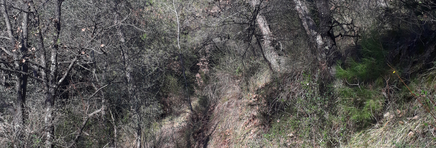 Terrain  2800 m² à vendre à L'Escarène (06440)