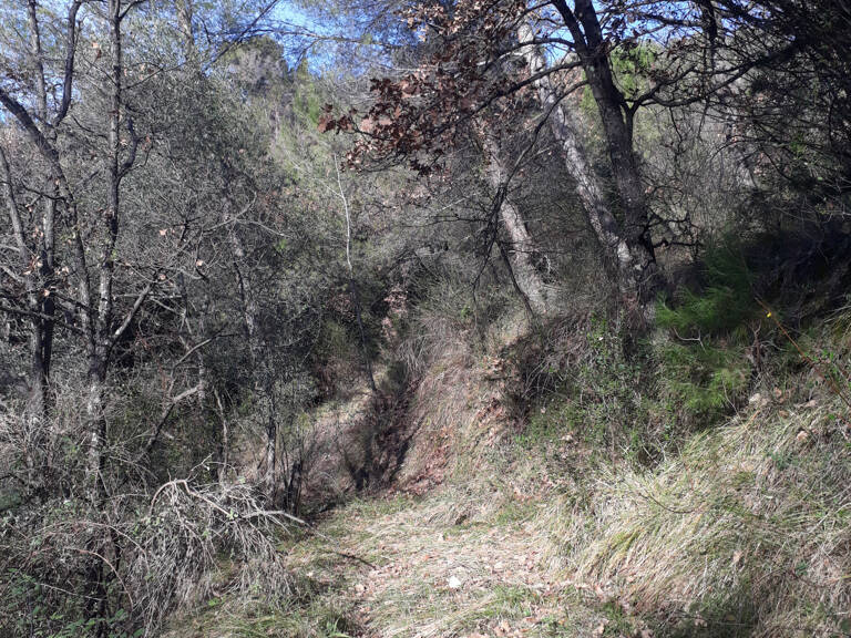 TERRAIN  L'ESCARENE — photo 1