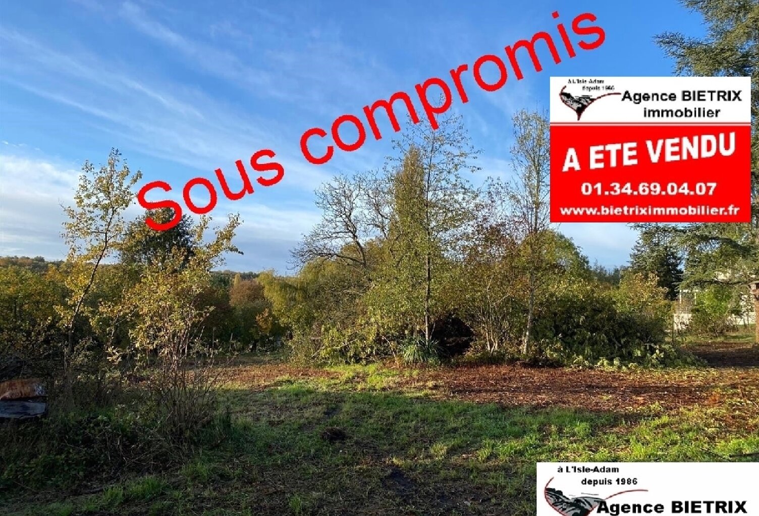 Vente terrain  867 m² Parmain (95620) — photo 1