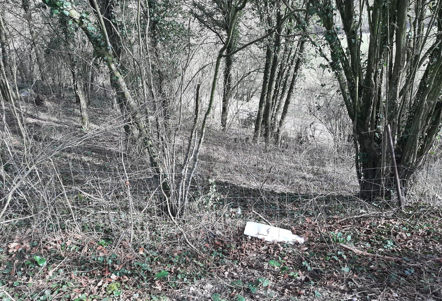 Vente terrain  1161 m² Thaon-les-Vosges (88150) — photo 1