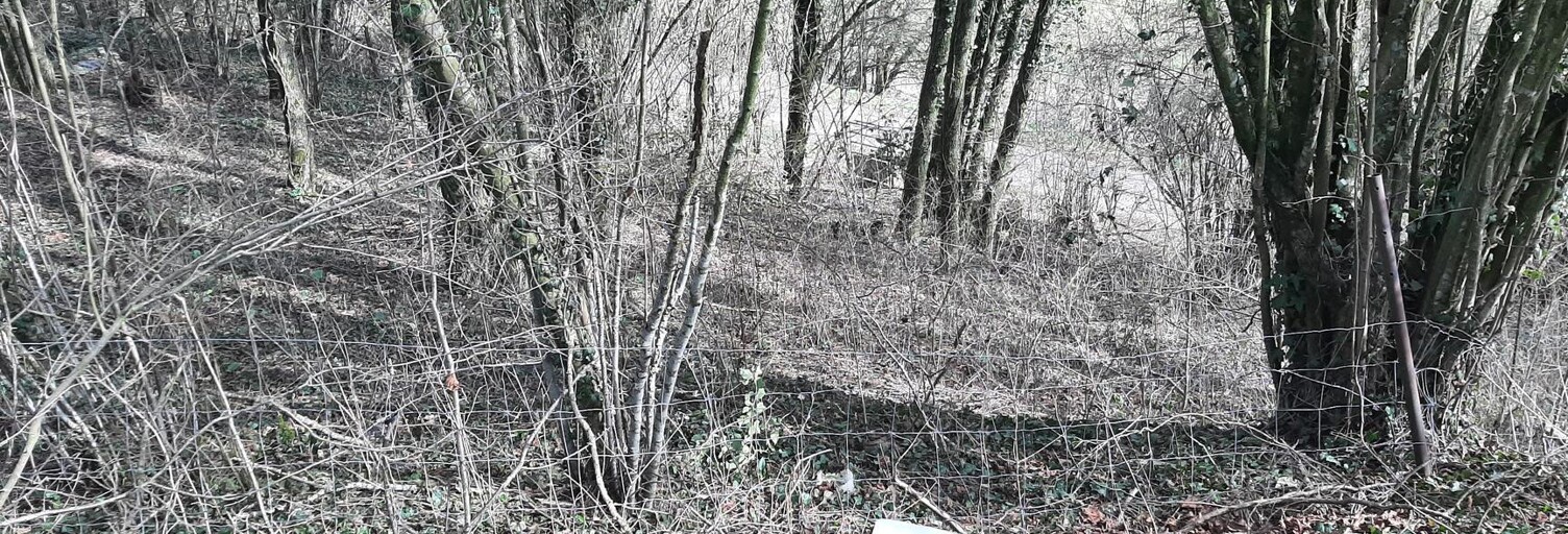 Terrain  1161 m² à vendre à Thaon-les-Vosges (88150)