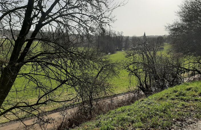 Vente terrain  1161 m² Thaon-les-Vosges (88150) — photo 2