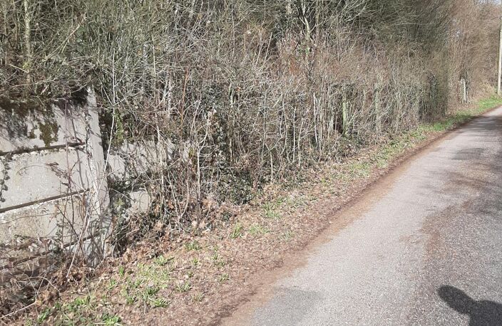 Vente terrain  1161 m² Thaon-les-Vosges (88150) — photo 3