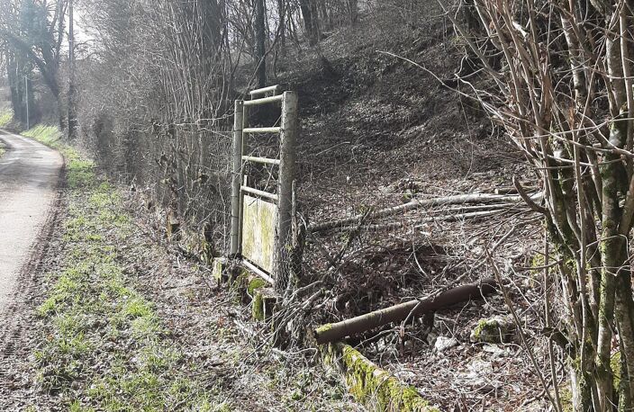 Vente terrain  1161 m² Thaon-les-Vosges (88150) — photo 4