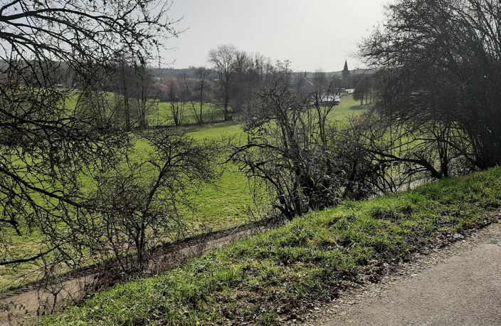 Vente terrain  1161 m² Thaon-les-Vosges (88150) — photo 5