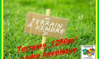 Maison 1 Pièce 1200 m² à vendre à Neuvy-sur-Barangeon (18330)