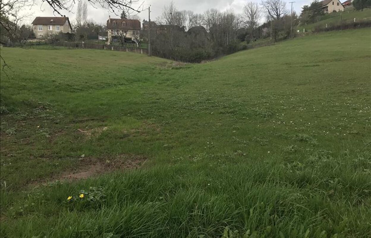 terrain  pièces 4000 m2 à vendre à Meyssac (19500)