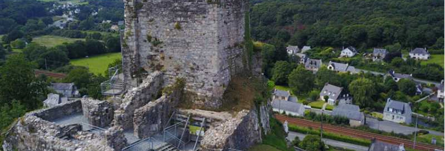 Commerce  400 m² à vendre à La Roche-Maurice (29800)