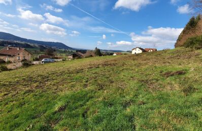 vente terrain 44 800 € à proximité de Cheniménil (88460)