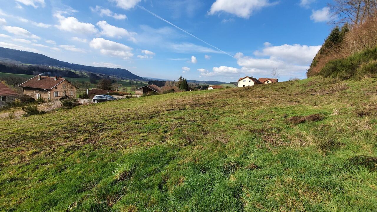 terrain  pièces 991 m2 à vendre à Lépanges-sur-Vologne (88600)