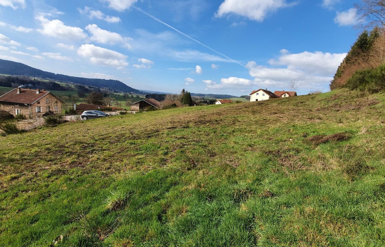 terrain  pièces 991 m2 à vendre à Lépanges-sur-Vologne (88600)