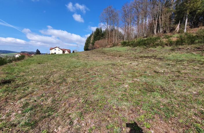TERRAIN CONSTRUCTIBLE DE 991 M² — photo 2