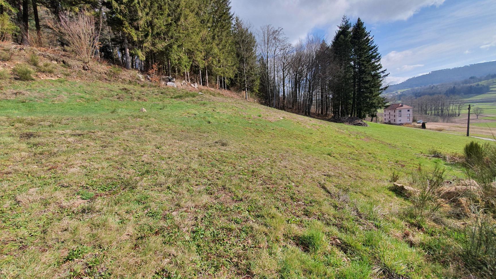 Photo Terrain constructible de 997 m² image 2/3