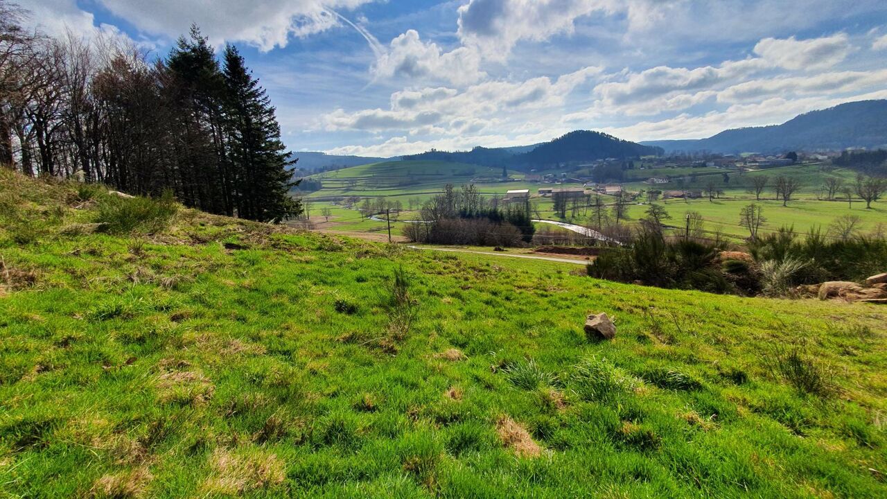 terrain  pièces 1257 m2 à vendre à Deycimont (88600)