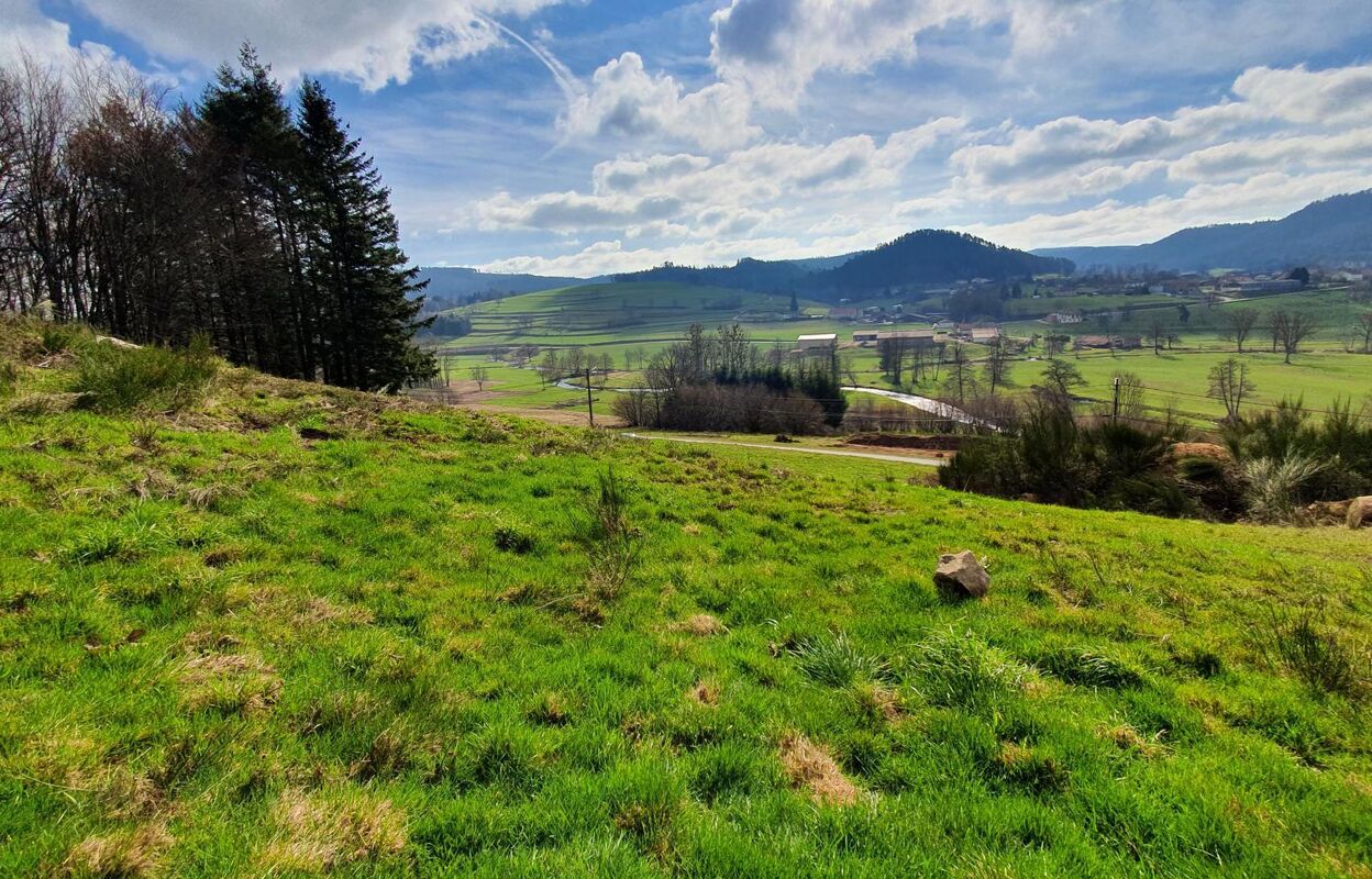 terrain  pièces 1257 m2 à vendre à Deycimont (88600)