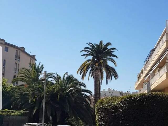 2p rénové cave et parking en Rdch dans résidence sécurisée pr... — photo du bien
