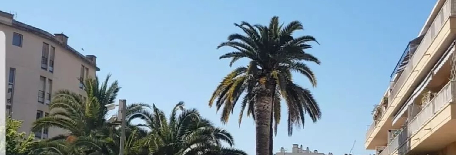 Appartement 2 Pièces 40 m² à vendre à Nice (06000)