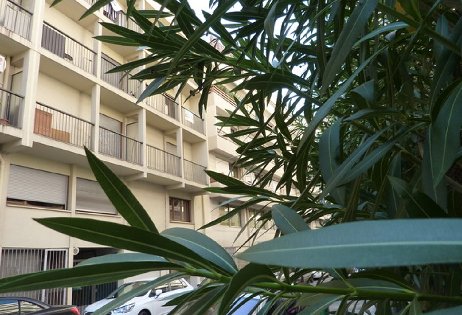 Appartement Toulon 1 pièce(s) 23 m2 — photo 1