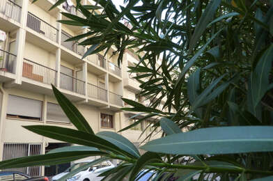 Appartement 1 pièces 79000 €