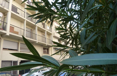 Appartement Toulon 1 pièce(s) 23 m2 — photo du bien