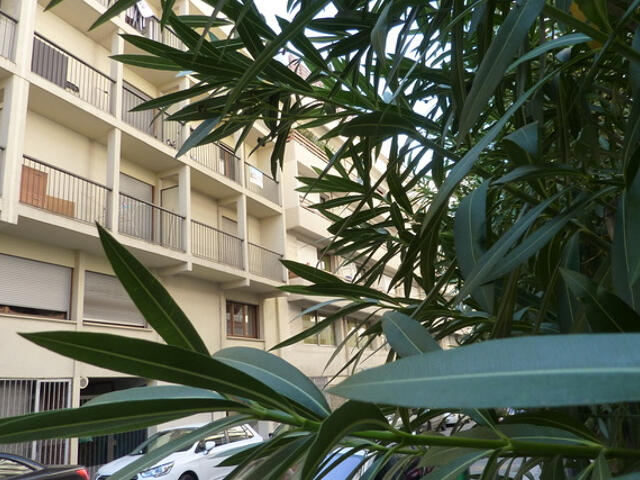 Appartement proposé à Toulon